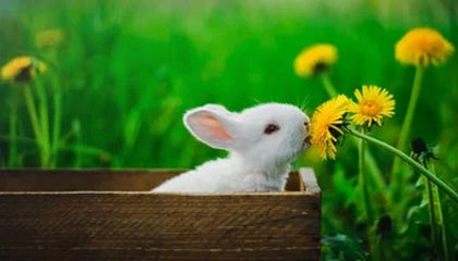 九游登录中心-VALORANT 选手竞技状态持续火爆，valorant战绩