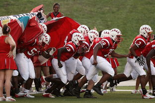 九游娱乐中心-国家队技战术水平提升瓶颈，国家技巧队